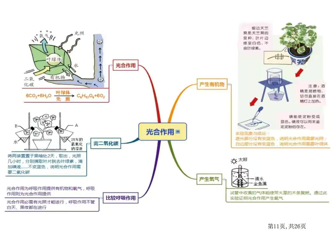 七年级生物要怎么学好(拿满分生物逆袭学习方法)