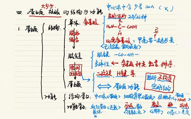 高中生物怎么冲击满分(生物基础也能拿高分)