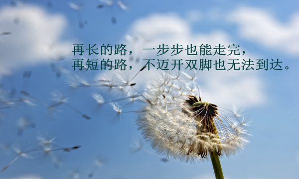 高中语文素材怎么学(积累素材技巧)