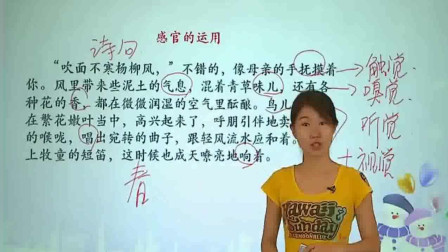 初中语文考试不好怎么学(语文提分办法）
