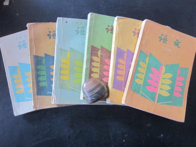 怎么学才能学会初中语文(初中语文如何考高分)