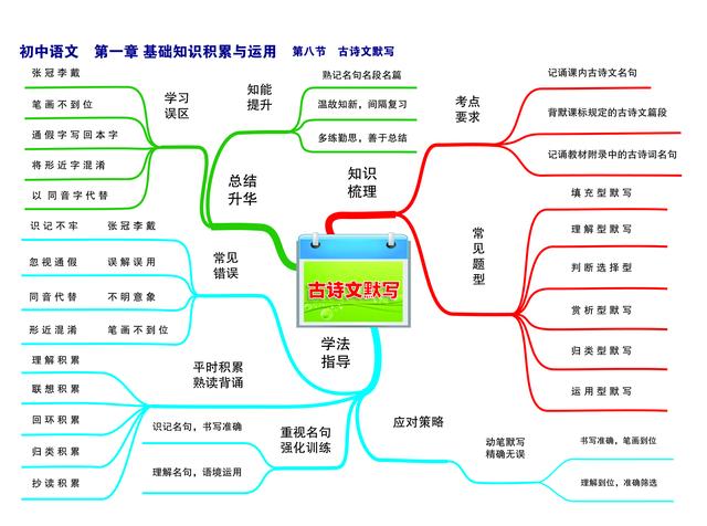 上初中怎么学好语文(初中语文提分办法)