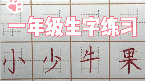 一年级写字不好看怎么教（四个方面写好字)