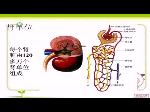 初中的生物怎么样才能学好(生物学习二招动作稳上90分)