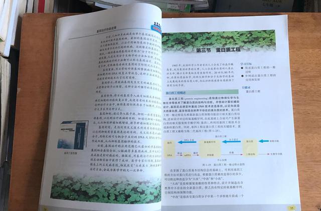 高中怎么学好生物提高成绩(生物提分方法)