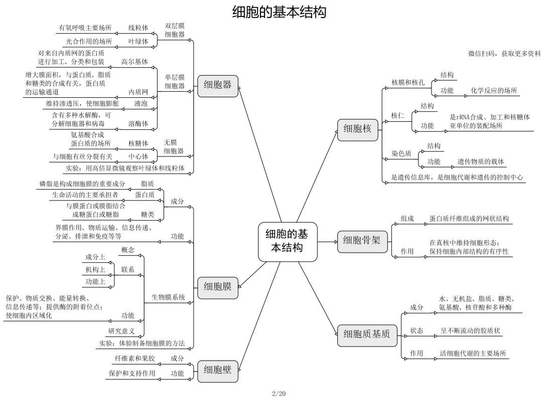 高中不喜欢老师怎么办