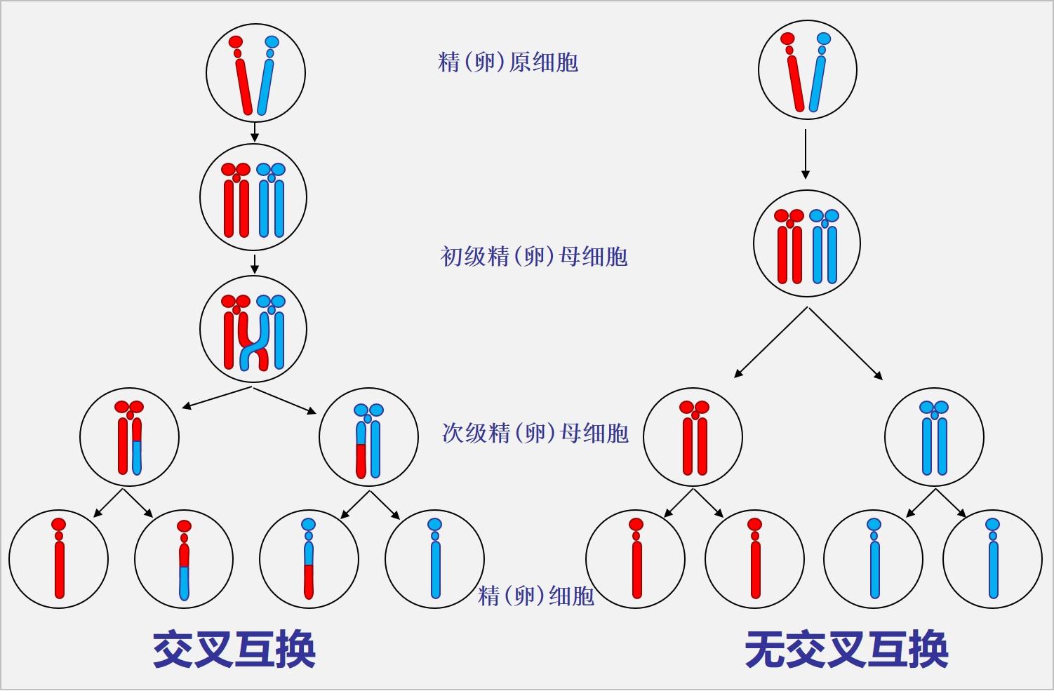 高中生物怎么学习有效(短时间提高物理成绩就一招)