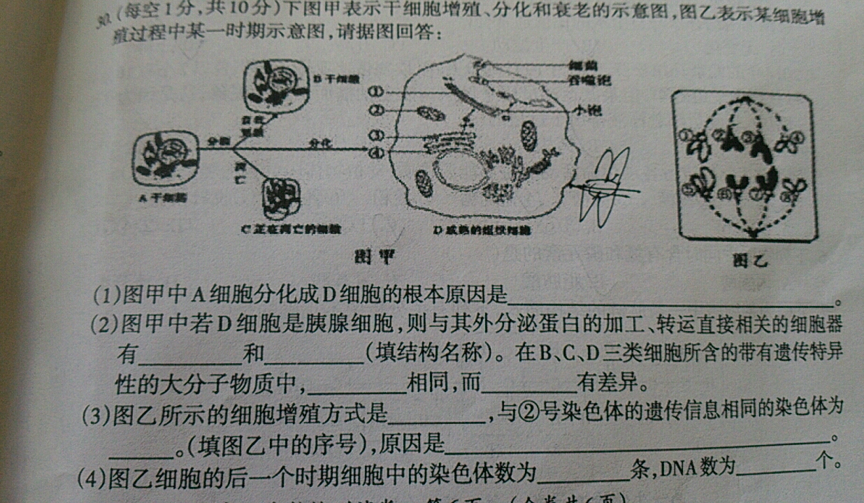 怎么样学习初一生物(生物人体泌尿系统学习)