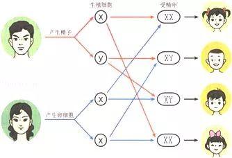 初中会考生物怎么得高分