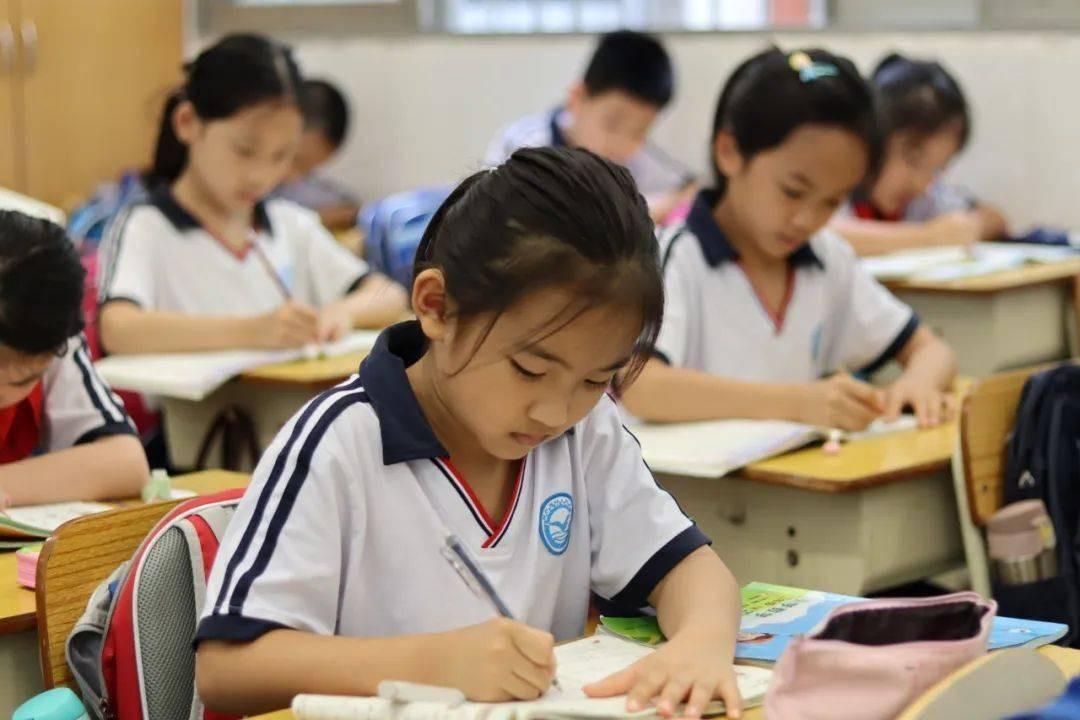 如何高效率学小学语文