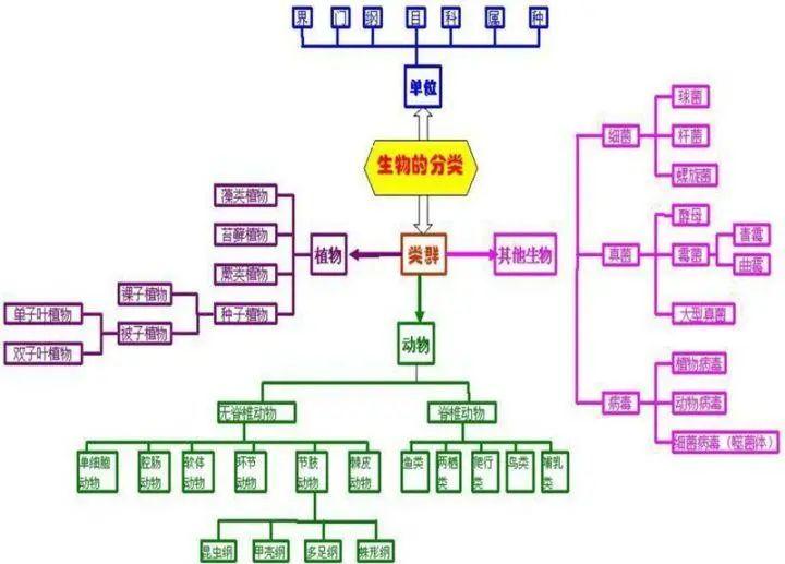 初中生物怎么学的好