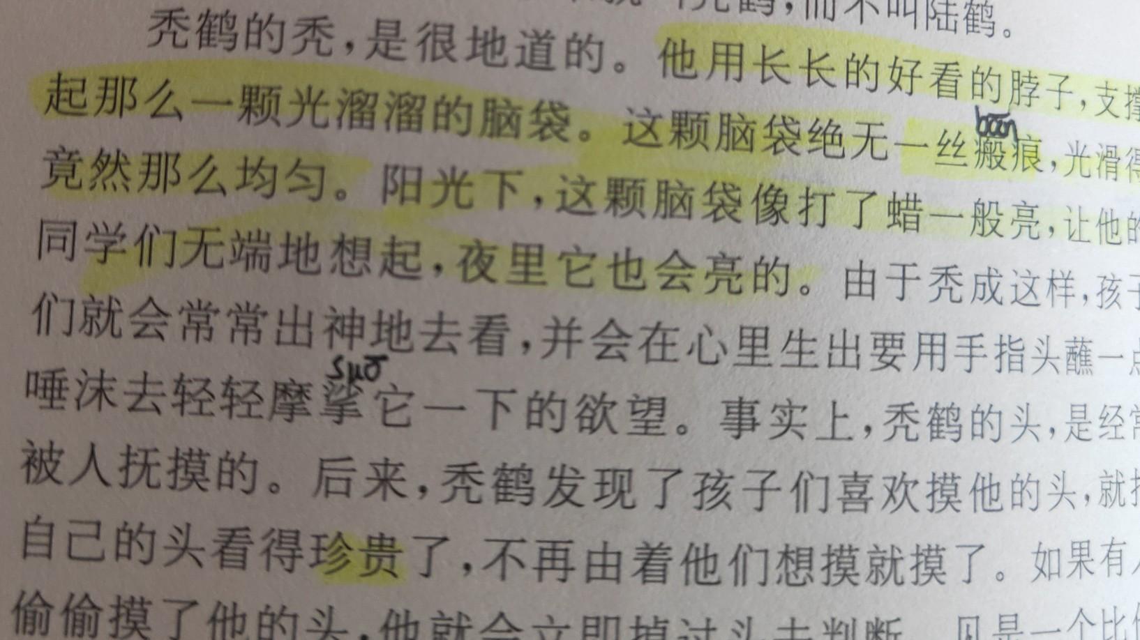 疫情期间语文怎么预习(预习这“四步法”)