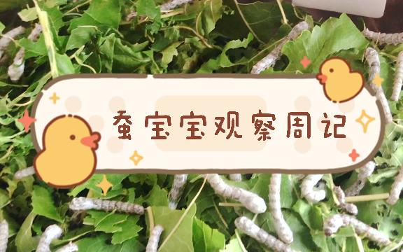 小班孩子情绪躁动怎么办(进入幼儿园后性情会大变这么做)