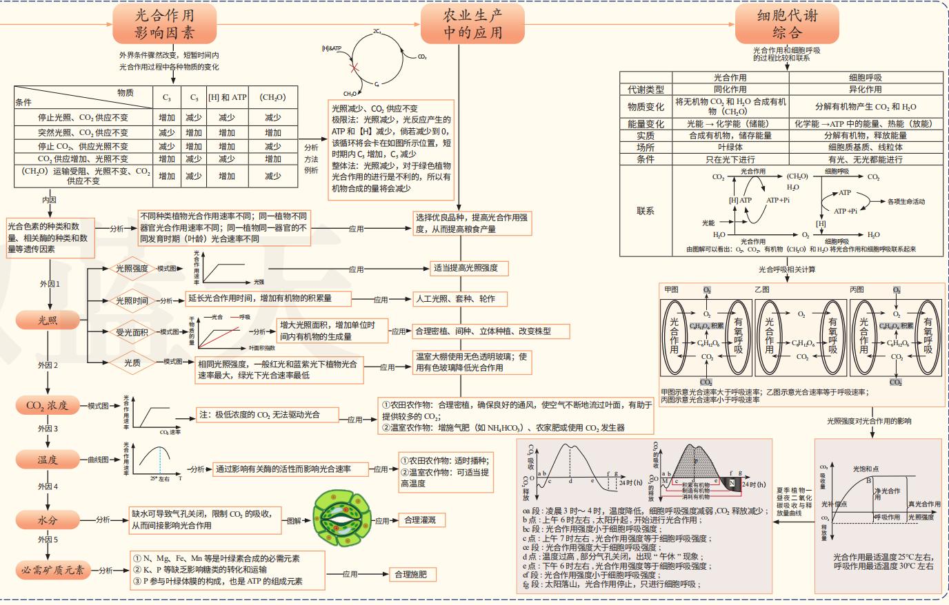 高中生物如何有效率学习(高中生物学习方法总结学霸秘籍)