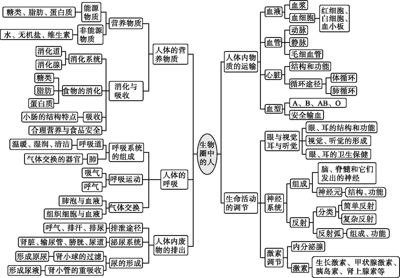 初中的生物怎么样才能学会(初中生物想考满分这么学)