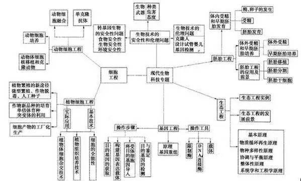 如何学好生物小技巧初中