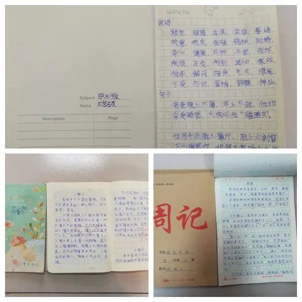 如何判断孩子的学习态度(没有考试也能看清孩子的学习状态)