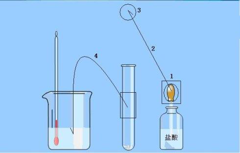 高中阶段化学反应有哪些(高中化学常见的放热反应和吸热反应)