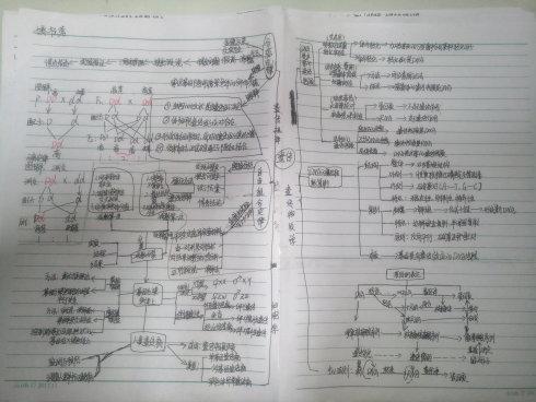 如何提高生物作业效率(快速提升中学生作业学习效率)