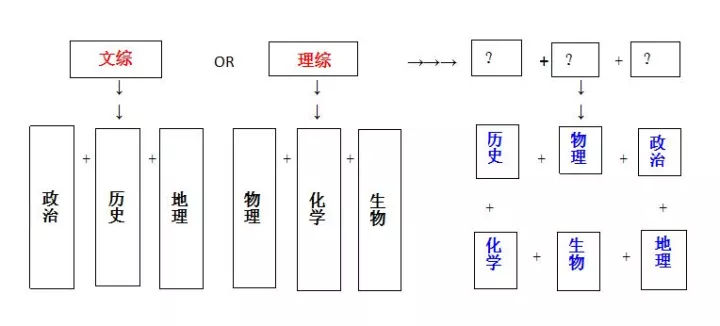 初中生历史特长有哪些