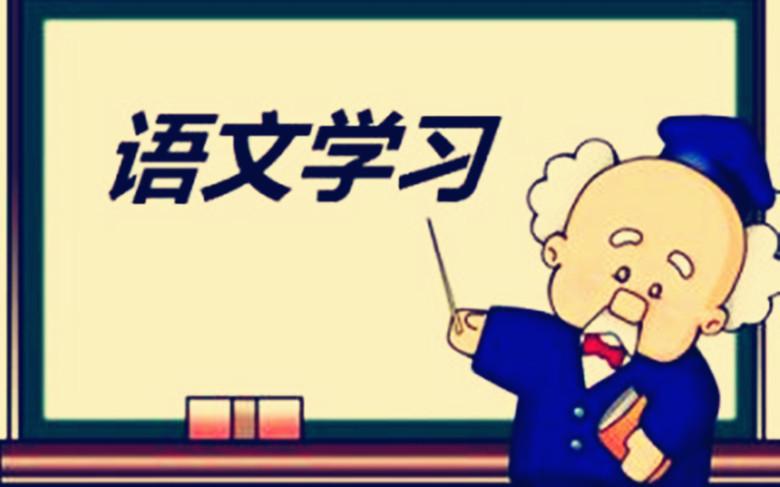 上初中怎么学语文(初中语文学习方法)