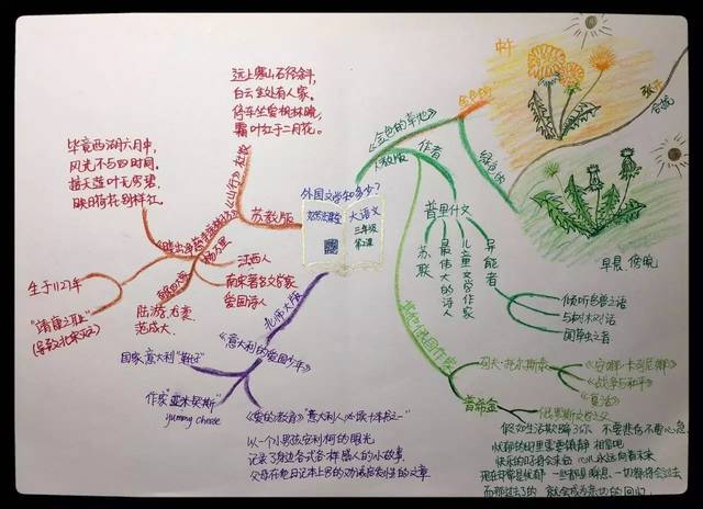 小学二年级语文怎么提高(语文快速提分方法)