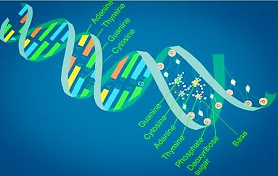 高中生物怎么样才学好(高三生物满分秘籍，神速提升收入！)