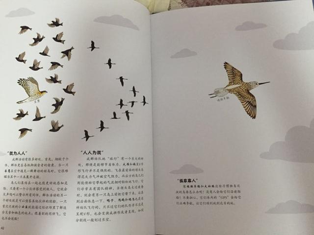 初中语文中的雁是什么(中考必考古诗词：如何通过红叶青鸟题材提高分数？)