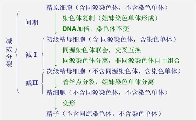 高中生物怎么学习有效(学会这4步，生物考试轻松满分！)