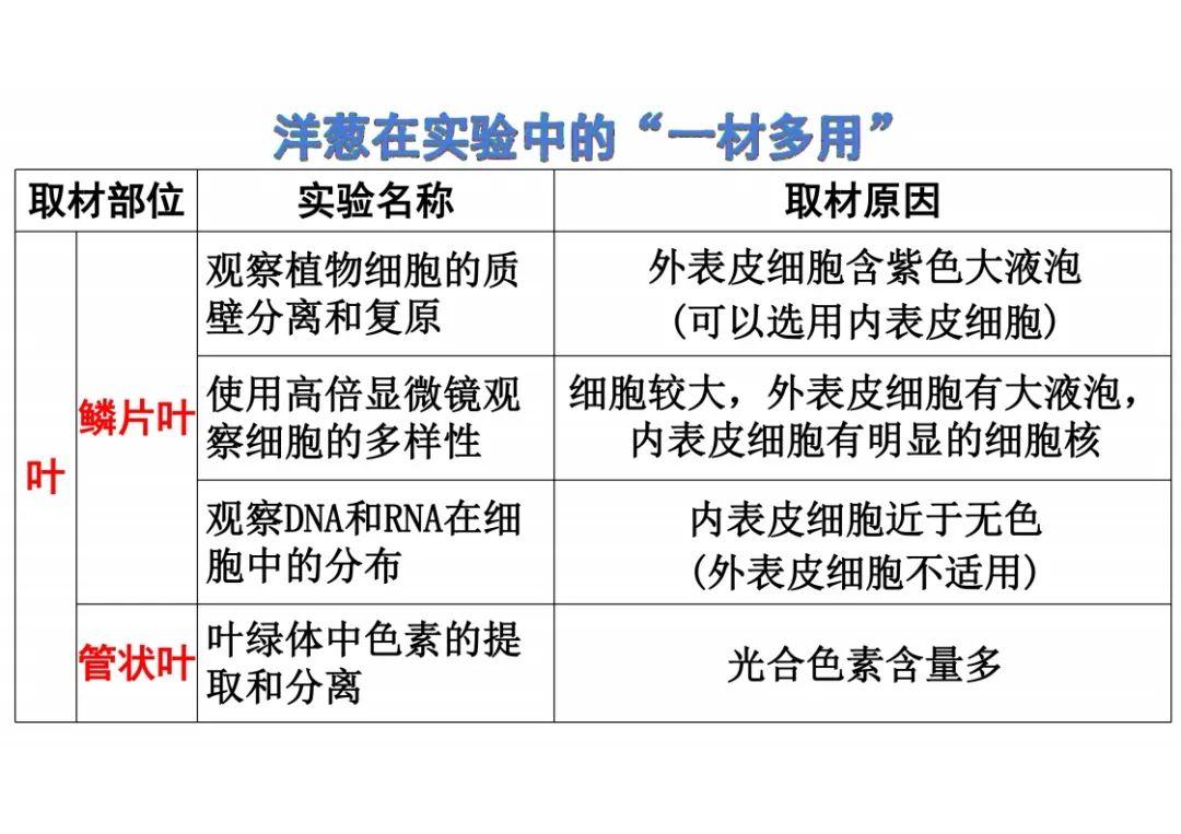 高中生物基础差怎么复习(高中生物突破技巧，轻松考到90分！)