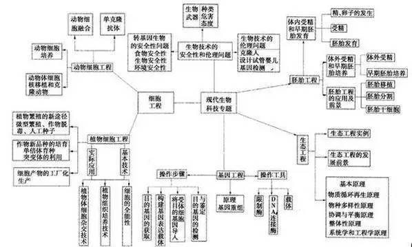 高中怎么学好生物提高成绩(高考状元的秘密武器！必备技巧揭秘)