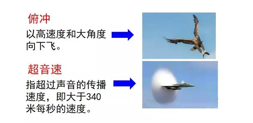 怎么提高写语文速度(解密考场作文速度提升秘籍)