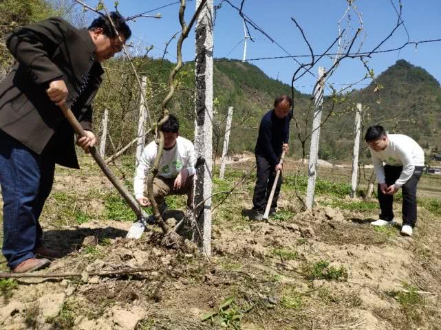 高中地理如何发展种植业(农业区位因素如何变化？市场需求、技术和交通是关键)