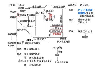 初中生物偏科生怎么办学(初三学生如何解决偏科问题，快速提升成绩)