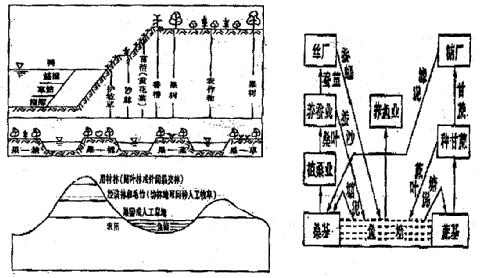 高中地理如何发展种植业(揭秘我国不同地区种植业的利与弊条件！)