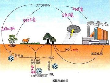 高中地理为什么会碱化(揭秘：如何化解土地盐碱化，保护农作物生长！)