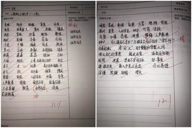 如何做到学好初中语文(揭秘初中语文高分秘诀，阅读模板与知识清单助你轻松获得高分！)