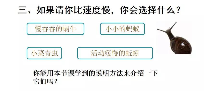 语文怎么提高写题速度(揭秘提升写作业速度的绝妙方法！让孩子轻松提升专注力)