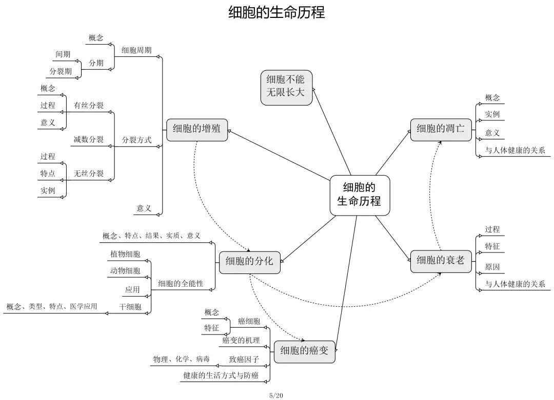 高中生物怎么学透(四招轻松提分！生物学霸秘籍大揭秘！)