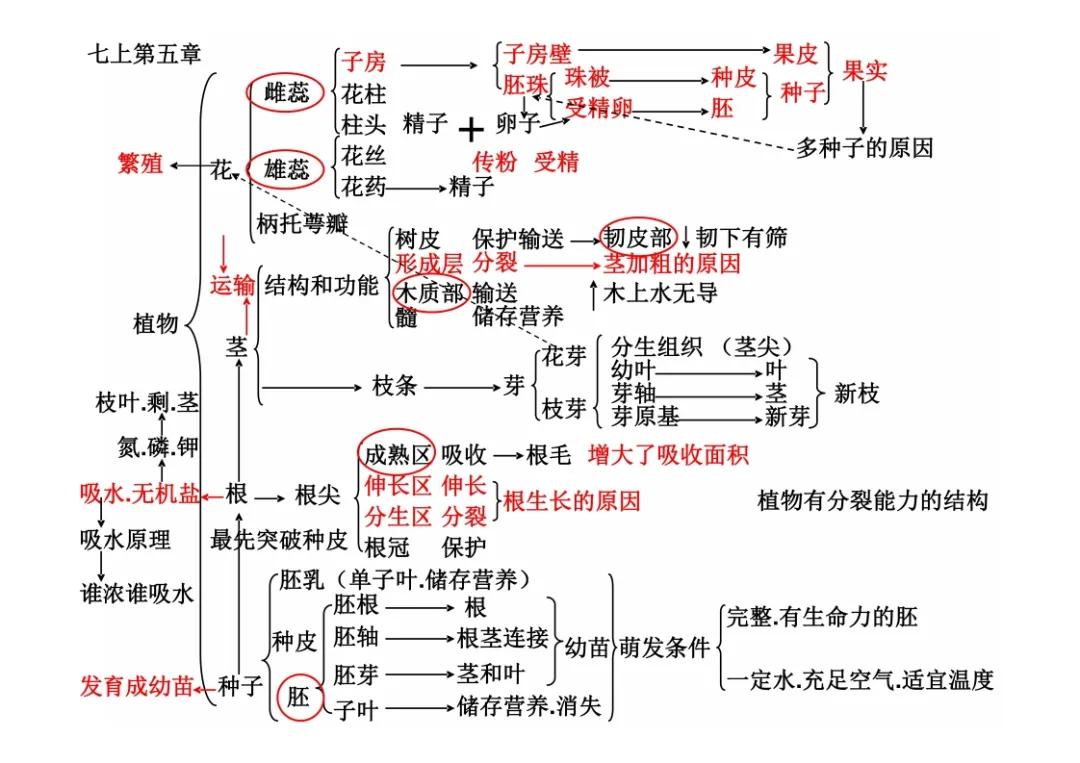 八年级生物如何考及格分(惊人发现！生态系统中生物关系揭秘)