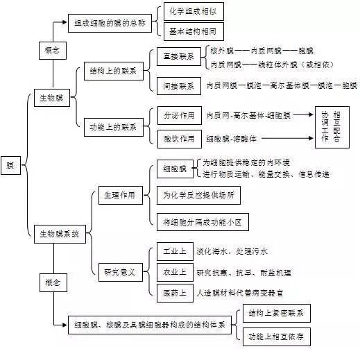 为什么高中没有生物了(《高考生物攻略：细节决定高分，别再陷笔记迷局！》)