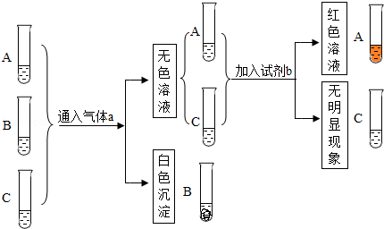 初中化学溶质怎么区分