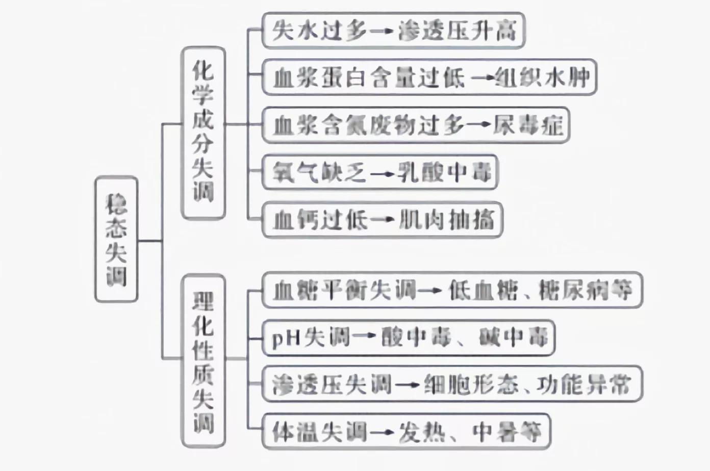 初中生物有哪些易错题(芹菜和黄瓜的夜盲症真相！)