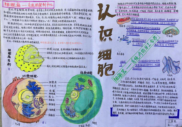 生物成绩不好怎么提高初中(绝密学霸法宝：生物考90分神招！轻松超越全班！)