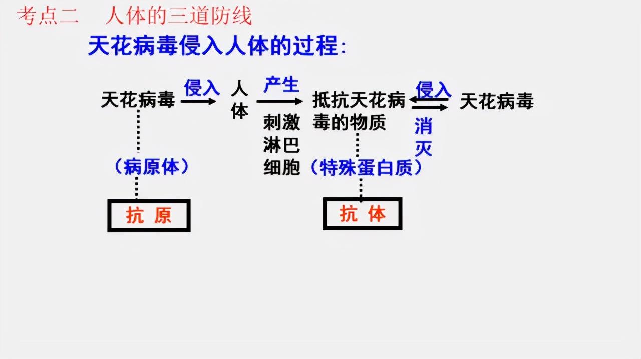 初二生物最后怎么复习(生地会考重要性，十天抢救中考分数秘诀！)