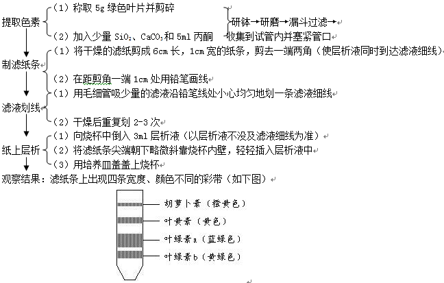 生物高中如何考到九十分(揭秘生物学考试高分秘诀，不看后悔！)