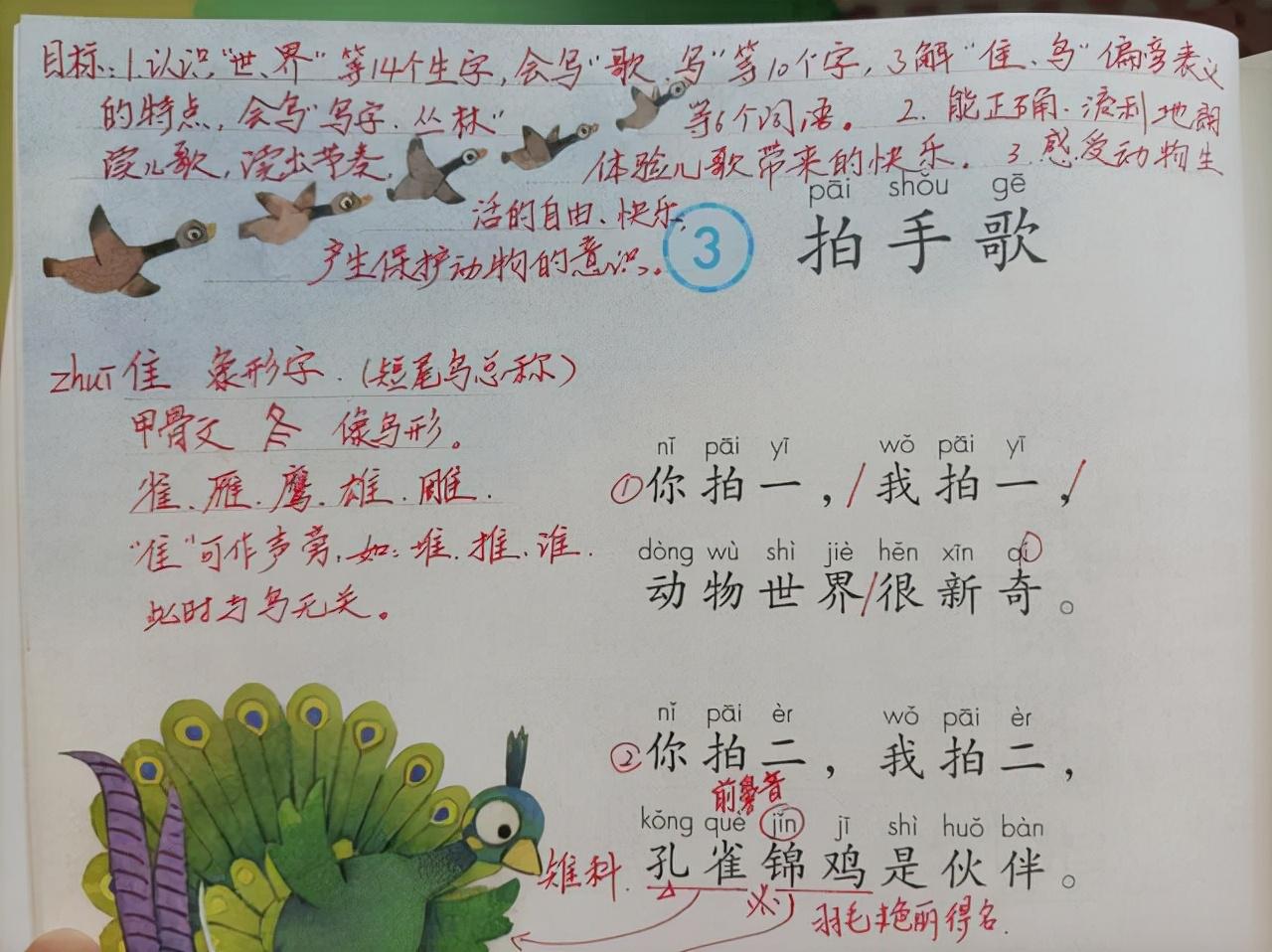 初中语文中的雁是什么