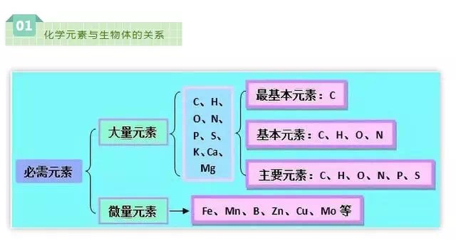 高中生物难点是哪个(PCR高温解旋，DNA复制方向固定，选择特异性引物至关重要！)