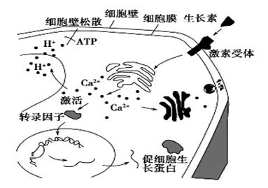 如何提高生物课兴趣(生物老师教学神招，学生秒变学霸，轻松get高分秘籍！)