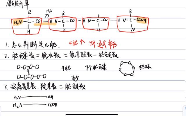 高中生物计算题不会怎么办(高中生物计算题绝招大揭秘！不再惧怕，轻松迎接考试)